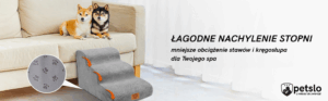 schodki dla psów o łagodnym nachyleniu stabilne rampa podest 3 stopnie 40cm